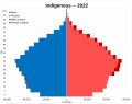 Image 35Native Argentines population pyramid in 2022. (from Indigenous peoples in Argentina)