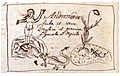 Linnaeus' original drawing