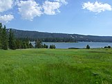 A wet meadow in the San Bernardino Mountains, CA, USA.