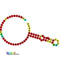 DnaX ribosomal frameshifting element