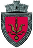 Coat of arms of Mitocu Dragomirnei