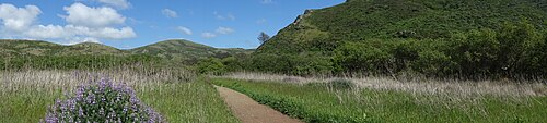 Looking east along the Tennessee Valley Trail, part of the Golden Gate National Recreation Area.