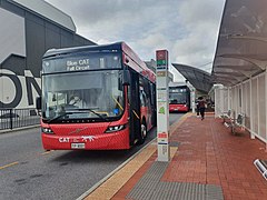 This is an image of some Joondalup Central Area Transit system (or CAT) buses, departing to or arriving from the university.