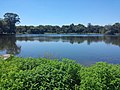 Cemetery Lake (Jo Pond), June 2016