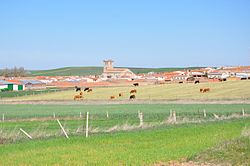 Panorama of Mancera de Abajo