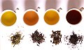 發酵程度不同的茶葉:從左至右:綠茶、黃茶、烏龍茶和紅茶