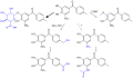 Tolcapone metabolism