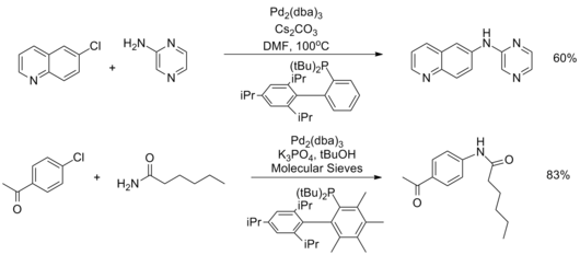 Heteoaryl and amide substrates in the Buchwald–Hartwig amination
