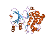 2j0i: CRYSTAL STRUCTURE OF THE HUMAN P21-ACTIVATED KINASE 4