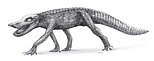 Restoration of Anatosuchus by Todd Marshall, 2009