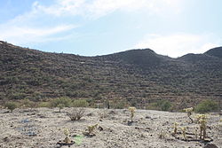 Cerro de Trincheras