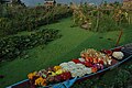 A colorful shikara of a florist in Nageen lake, Srinagar, Jammu & Kashmir