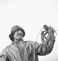 A Lindisfarne fisherman in 1942