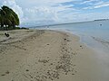 Beach at Club Nautico de Ponce