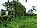 Remains of Karnala Fort