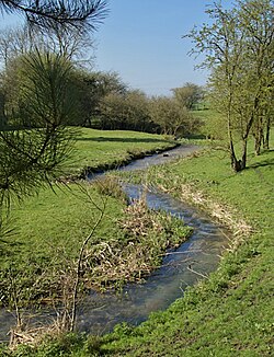 A narrow curved stream, meandering through a field