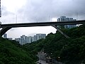 新清水湾道高架天桥
