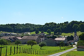 A general view of Leschères-sur-le-Blaiseron