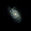 Hubble Space Telescope image of NGC 1084.