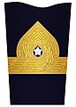 Sleeve insignia for a brigadier general (2000–2003)