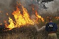 Image 32A Russian firefighter extinguishing a wildfire (from Wildfire)