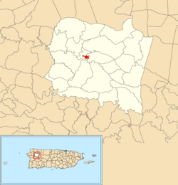 Location of San Sebastián barrio-pueblo within the municipality of San Sebastián shown in red