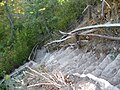 Uli's Stairs, connecting Mountain Brow to the Rail Trail