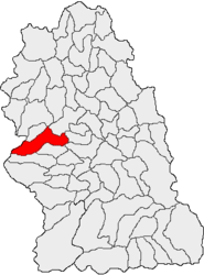 Location in Hunedoara County