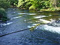 Detail of fish ladder on the River Dart in England.