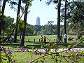 Memorial Park, Houston, Texas