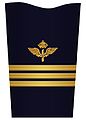 Mess jacket sleeve insignia for a lieutenant colonel