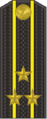 Kapitan of the 1st rank insignia of the Russian Navy