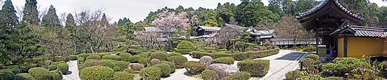 Panoramic color picture of a garden with, in the foreground, leafy plants on white gravel ground, and trees in the background.