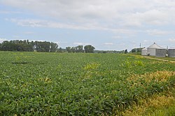 Fields along Spray Lane in the township's northeast