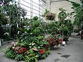 Inside the United States Botanic Garden