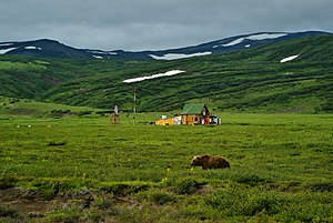 Kamchatka-Kurile meadows and sparse forests