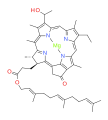 bacteriochlorophyll c