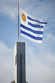 Flag in the Estadio Centenario