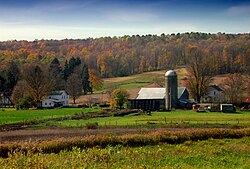 A farm in the township