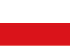 萨尔茨堡旗帜