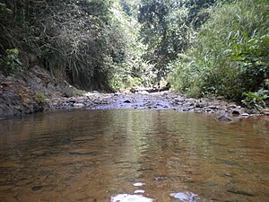 Salto Curet in Indiera Fría in Maricao