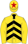 Yellow and black chevrons, yellow sleeves, yellow cap, red star