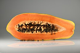 Papaya - longitudinal section
