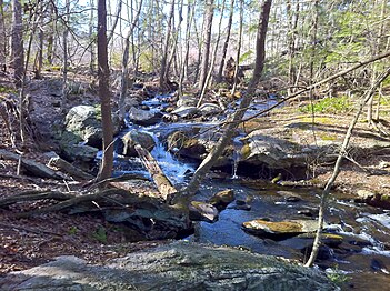 Pixie Falls in Natchaug State Forest in Ashford via side trail from Nipmuck Trail.