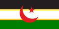阿拉伯撒哈拉民主共和國國旗（建議）