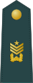 韩国陆军元士肩章