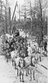 Image 73Logs being transported on a sleigh after being cut (from History of Wisconsin)