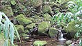 ʻĀhuimanu Stream crossing