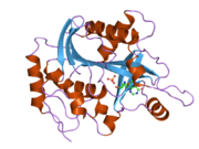 2oc9: Crystal structure of human purine nucleoside phosphorylase mutant H257G with Imm-H