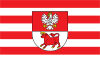 Flag of Bielsk County